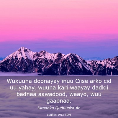 Picture 03 - Luukos 19:3 SOM - Wuxuuna doonayay inuu Ciise arko cid uu yahay, - Bible Verse Picture