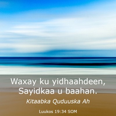 Picture 03 - Luukos 19:34 SOM - Waxay ku yidhaahdeen, Sayidkaa u - Bible Verse Picture