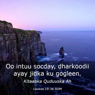 Picture 03 - Luukos 19:36 SOM - Oo intuu socday, dharkoodii ayay jidka ku - Bible Verse Picture