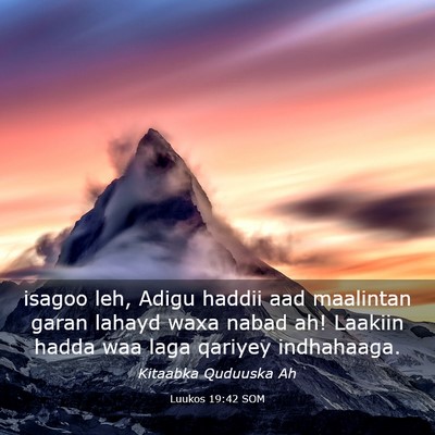 Picture 03 - Luukos 19:42 SOM - isagoo leh, Adigu haddii aad maalintan garan - Bible Verse Picture