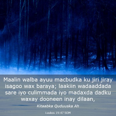 Picture 03 - Luukos 19:47 SOM - Maalin walba ayuu macbudka ku jiri jiray isagoo - Bible Verse Picture