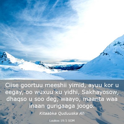 Picture 03 - Luukos 19:5 SOM - Ciise goortuu meeshii yimid, ayuu kor u eegay, oo - Bible Verse Picture