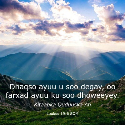 Picture 03 - Luukos 19:6 SOM - Dhaqso ayuu u soo degay, oo farxad ayuu ku soo - Bible Verse Picture