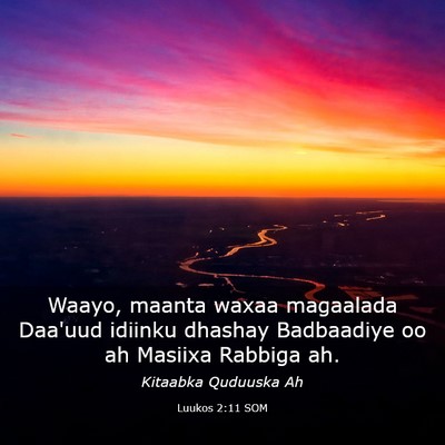 Picture 03 - Luukos 2:11 SOM - Waayo, maanta waxaa magaalada Daa'uud idiinku - Bible Verse Picture