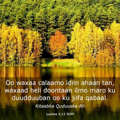 Picture 03 - Luukos 2:12 SOM - Oo waxaa calaamo idiin ahaan tan, waxaad heli - Bible Verse Picture