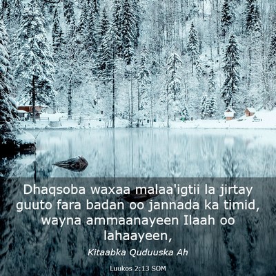 Picture 03 - Luukos 2:13 SOM - Dhaqsoba waxaa malaa'igtii la jirtay guuto fara - Bible Verse Picture