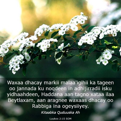 Picture 03 - Luukos 2:15 SOM - Waxaa dhacay markii malaa'igihii ka tageen oo - Bible Verse Picture