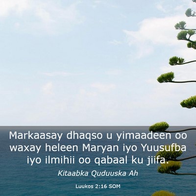 Picture 03 - Luukos 2:16 SOM - Markaasay dhaqso u yimaadeen oo waxay heleen - Bible Verse Picture