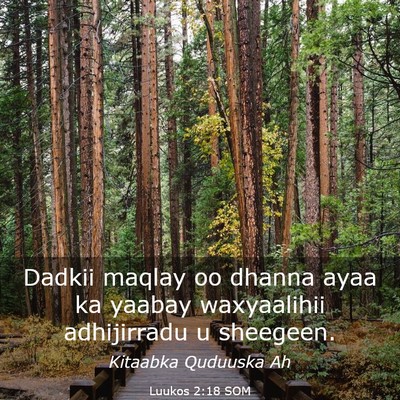 Picture 03 - Luukos 2:18 SOM - Dadkii maqlay oo dhanna ayaa ka yaabay - Bible Verse Picture
