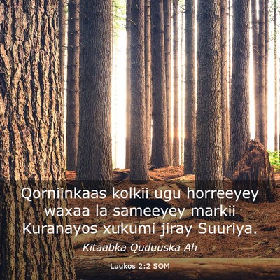 Picture 03 - Luukos 2:2 SOM - Qorniinkaas kolkii ugu horreeyey waxaa la - Bible Verse Picture
