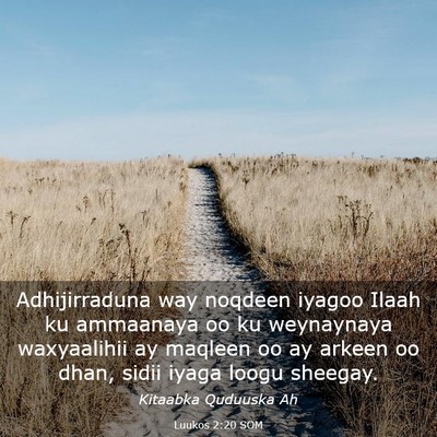 Picture 03 - Luukos 2:20 SOM - Adhijirraduna way noqdeen iyagoo Ilaah ku - Bible Verse Picture