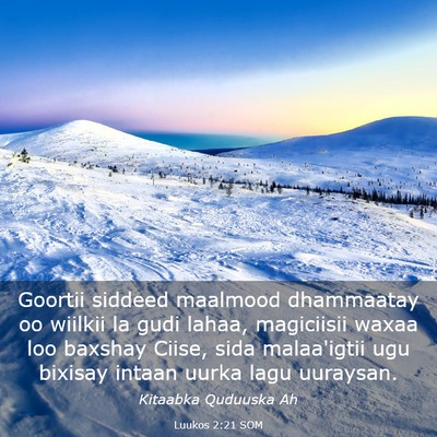 Picture 03 - Luukos 2:21 SOM - Goortii siddeed maalmood dhammaatay oo wiilkii la - Bible Verse Picture