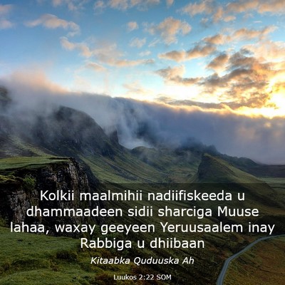 Picture 03 - Luukos 2:22 SOM - Kolkii maalmihii nadiifiskeeda u dhammaadeen - Bible Verse Picture