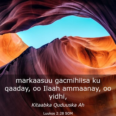 Picture 03 - Luukos 2:28 SOM - markaasuu gacmihiisa ku qaaday, oo Ilaah - Bible Verse Picture
