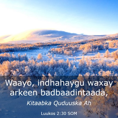 Picture 03 - Luukos 2:30 SOM - Waayo, indhahaygu waxay arkeen - Bible Verse Picture