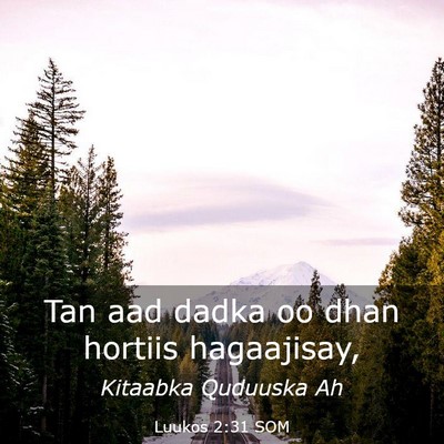 Picture 03 - Luukos 2:31 SOM - Tan aad dadka oo dhan hortiis - Bible Verse Picture