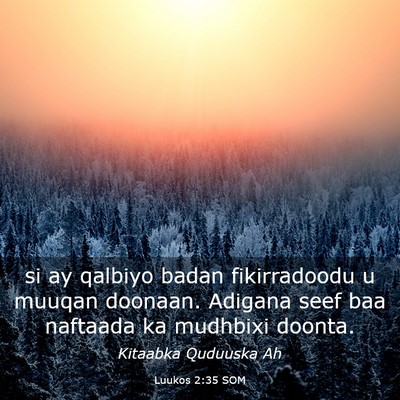Picture 03 - Luukos 2:35 SOM - si ay qalbiyo badan fikirradoodu u muuqan - Bible Verse Picture