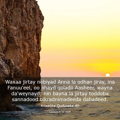 Picture 03 - Luukos 2:36 SOM - Waxaa jirtay nebiyad Anna la odhan jiray, ina - Bible Verse Picture
