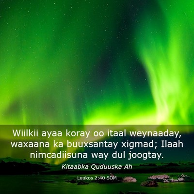 Picture 03 - Luukos 2:40 SOM - Wiilkii ayaa koray oo itaal weynaaday, waxaana ka - Bible Verse Picture