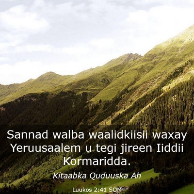 Picture 03 - Luukos 2:41 SOM - Sannad walba waalidkiisii waxay Yeruusaalem u - Bible Verse Picture