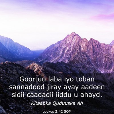 Picture 03 - Luukos 2:42 SOM - Goortuu laba iyo toban sannadood jiray ayay - Bible Verse Picture