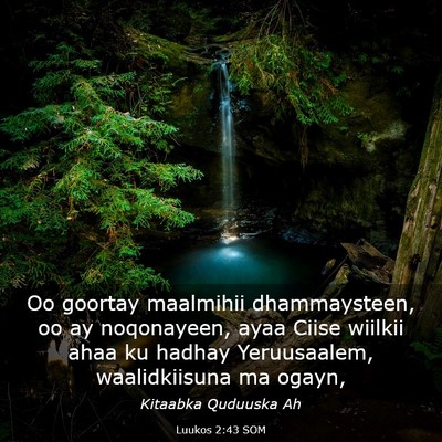 Picture 03 - Luukos 2:43 SOM - Oo goortay maalmihii dhammaysteen, oo ay - Bible Verse Picture