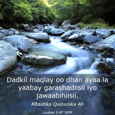 Picture 03 - Luukos 2:47 SOM - Dadkii maqlay oo dhan ayaa la yaabay - Bible Verse Picture