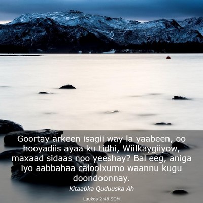 Picture 03 - Luukos 2:48 SOM - Goortay arkeen isagii way la yaabeen, oo - Bible Verse Picture