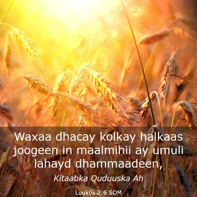 Picture 03 - Luukos 2:6 SOM - Waxaa dhacay kolkay halkaas joogeen in maalmihii - Bible Verse Picture
