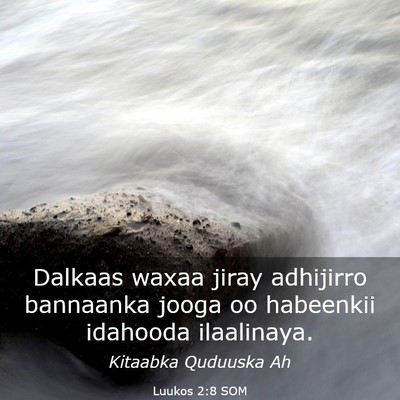 Picture 03 - Luukos 2:8 SOM - Dalkaas waxaa jiray adhijirro bannaanka jooga oo - Bible Verse Picture