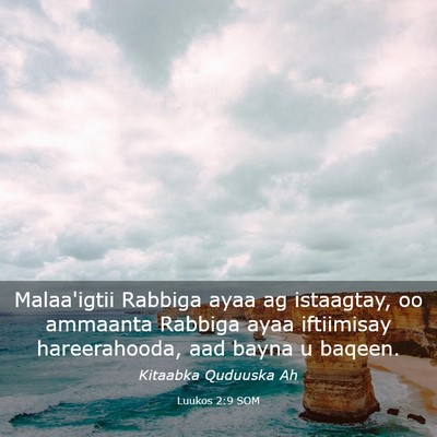 Picture 03 - Luukos 2:9 SOM - Malaa'igtii Rabbiga ayaa ag istaagtay, oo - Bible Verse Picture