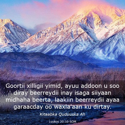 Picture 03 - Luukos 20:10 SOM - Goortii xilligii yimid, ayuu addoon u soo diray - Bible Verse Picture