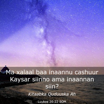 Picture 03 - Luukos 20:22 SOM - Ma xalaal baa inaannu cashuur Kaysar siinno ama - Bible Verse Picture