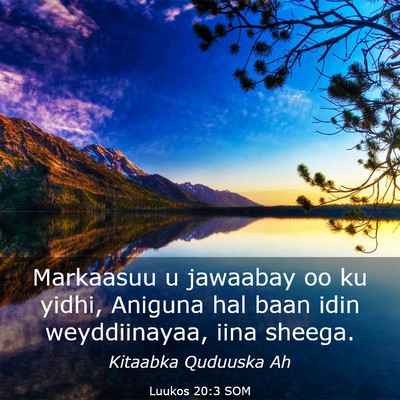 Picture 03 - Luukos 20:3 SOM - Markaasuu u jawaabay oo ku yidhi, Aniguna hal - Bible Verse Picture