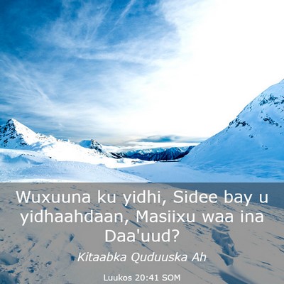 Picture 03 - Luukos 20:41 SOM - Wuxuuna ku yidhi, Sidee bay u yidhaahdaan, - Bible Verse Picture