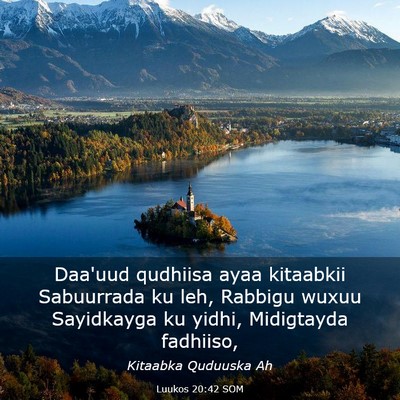 Picture 03 - Luukos 20:42 SOM - Daa'uud qudhiisa ayaa kitaabkii Sabuurrada ku - Bible Verse Picture