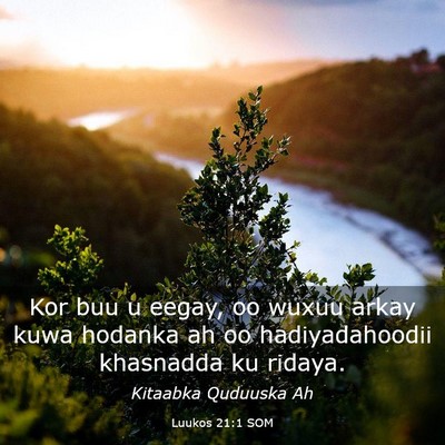 Picture 03 - Luukos 21:1 SOM - Kor buu u eegay, oo wuxuu arkay kuwa hodanka ah - Bible Verse Picture