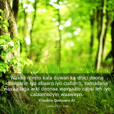 Picture 03 - Luukos 21:11 SOM - Waxaa meelo kala duwan ka dhici doona dhulgariir - Bible Verse Picture