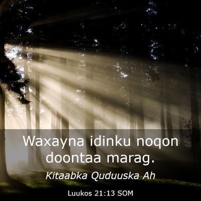 Picture 03 - Luukos 21:13 SOM - Waxayna idinku noqon doontaa - Bible Verse Picture