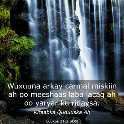 Picture 03 - Luukos 21:2 SOM - Wuxuuna arkay carmal miskiin ah oo meeshaas laba - Bible Verse Picture