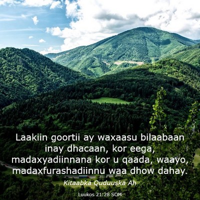 Picture 03 - Luukos 21:28 SOM - Laakiin goortii ay waxaasu bilaabaan inay - Bible Verse Picture