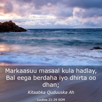 Picture 03 - Luukos 21:29 SOM - Markaasuu masaal kula hadlay, Bal eega berdaha - Bible Verse Picture