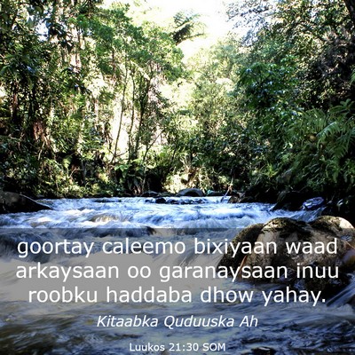 Picture 03 - Luukos 21:30 SOM - goortay caleemo bixiyaan waad arkaysaan oo - Bible Verse Picture