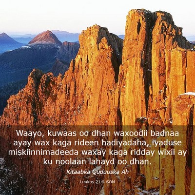 Picture 03 - Luukos 21:4 SOM - Waayo, kuwaas oo dhan waxoodii badnaa ayay wax - Bible Verse Picture