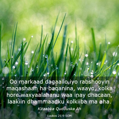 Picture 03 - Luukos 21:9 SOM - Oo markaad dagaallo iyo rabshooyin maqashaan ha - Bible Verse Picture
