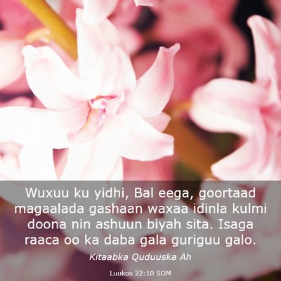 Picture 03 - Luukos 22:10 SOM - Wuxuu ku yidhi, Bal eega, goortaad magaalada - Bible Verse Picture