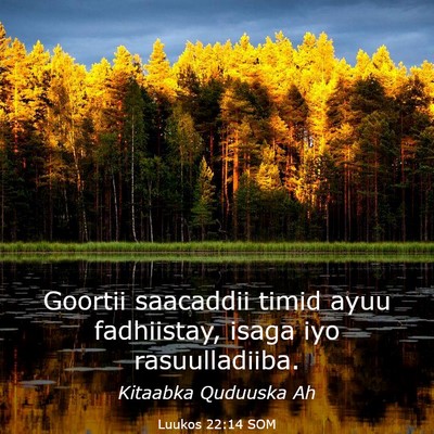 Picture 03 - Luukos 22:14 SOM - Goortii saacaddii timid ayuu fadhiistay, isaga - Bible Verse Picture