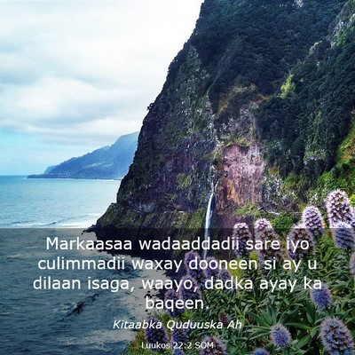 Picture 03 - Luukos 22:2 SOM - Markaasaa wadaaddadii sare iyo culimmadii waxay - Bible Verse Picture