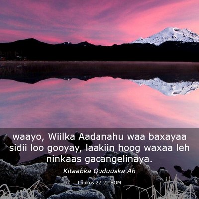 Picture 03 - Luukos 22:22 SOM - waayo, Wiilka Aadanahu waa baxayaa sidii loo - Bible Verse Picture