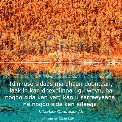 Picture 03 - Luukos 22:26 SOM - Idinkuse sidaas ma ahaan doontaan, laakiin kan - Bible Verse Picture